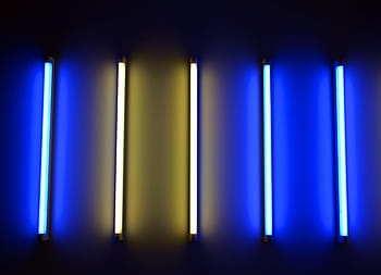tubo al neon, luce al neon, luce, installazione artistica, arte, installazione, Biennale, blu, bianca, barre, distanza
