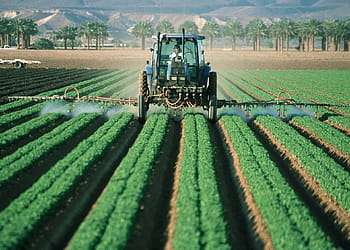 person, riding, tractor farming, daytime, farmer, tractor, agriculture, farm, field, machine, equipment