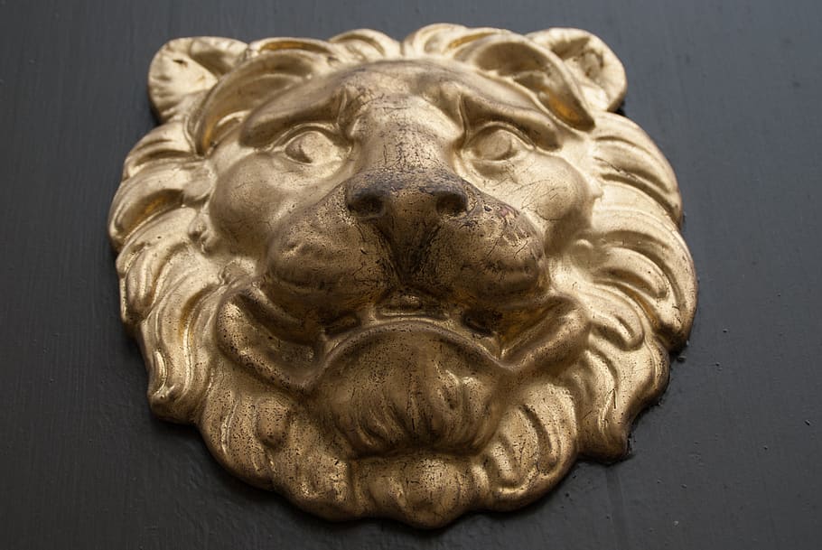 lion, ornament, door, knocker, decoration, sweden, stockholm, gold, gold lion, heraldry, mascot