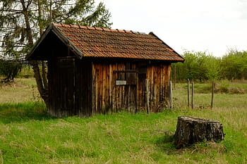 cabane, cabane en rondins, bois, la nature, vacances, paysage, abri de jardin, échelle, marron, rustique, agriculture