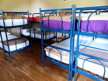 three, blue, metal bunk beds, beds, youth hostel, bunk beds, sleep, accommodation, bedroom