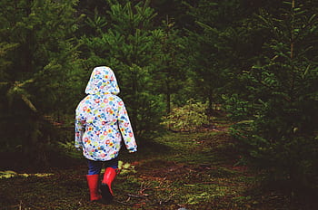little girl, walking, woods, forest, trees, nature, child, kid, girl, little, summer