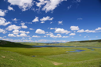 fotografia di paesaggio, verde, campo d'erba, valle di hayden, Yellowstone, valle, paesaggio, cielo, blu, nuvole, panoramico