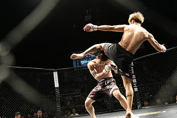 two, men, fighting, inside, octagon cage, mixed martial arts, sport, kick, shooto, ring, japan