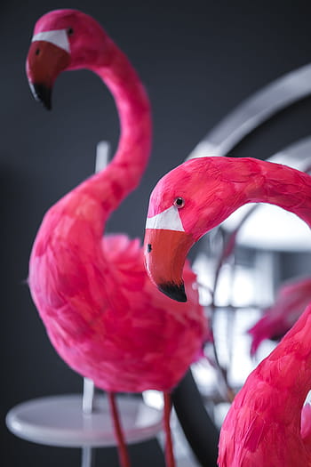 ピンク、 フラミンゴの家の装飾、 ピンクのフラミンゴ、 家、 装飾、 インテリア、 家の装飾、 フラミンゴ、 鳥、 動物、 野生動物