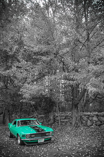 selektivní barevná fotografie, zelená, kupé, strom, mustang, brod, závoďák, automobil, sval, auto, vozidlo