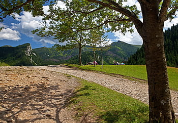 tatry, landscape, poland, mountain, top, tree, nature, the national park, hiking, summer, tour
