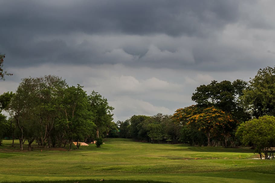 golf, chod, kurz golfu, zelená, sport, tráva, nebe, hra, golfové hřiště krajina, Příroda, volný čas