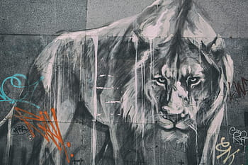 largo, tiro in angolo, leone di street art, graffiti, angolo ampio, tiro, Leone, urbano, arte di strada, animale, colpo alla testa