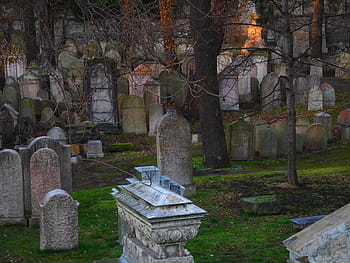 burial lot, various, tombstones, cemetery, jewish, judaism, old, grave, historical, hebrew, jew