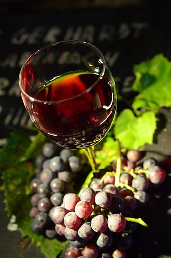 Průhledná, sklenka, dlouho, zastavit, sklenice na víno, hrozny, červené víno, červené hrozny, osvětlení, stálý život, vinná réva