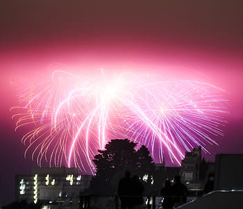 fotografia, fuoco d'artificio, cielo, alberi, Casa, aereo, foto, rosa, fuochi d'artificio, alto, salire