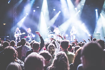 koncert v noci, publikum, kapela, oslava, koncert, dav, festival, světla, hudba, hudebník, noční dobu
