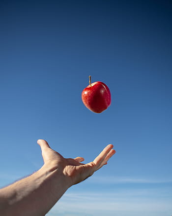 fruit, food, apple, hand, fresh, vegetarian, vegan, organic, blue, healthy, eating