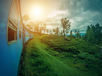 blu, treno, accanto, verde, erba, giorno, Sri Lanka, ella, paesaggio, collina, lanka