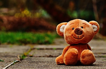 bear, plush, toy, gray, surface, teddy, soft toy, stuffed animal, teddy bear, brown bear, children