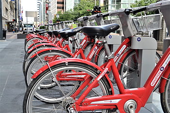 red, bicycle, parked, parking lot, wheel, transportation system, bike, street, lease, traffic, road