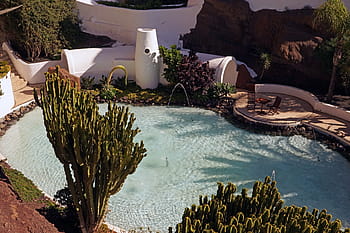 múzeumi lagomár, medence, növény, itthon, lanzarote, Kanári szigetek