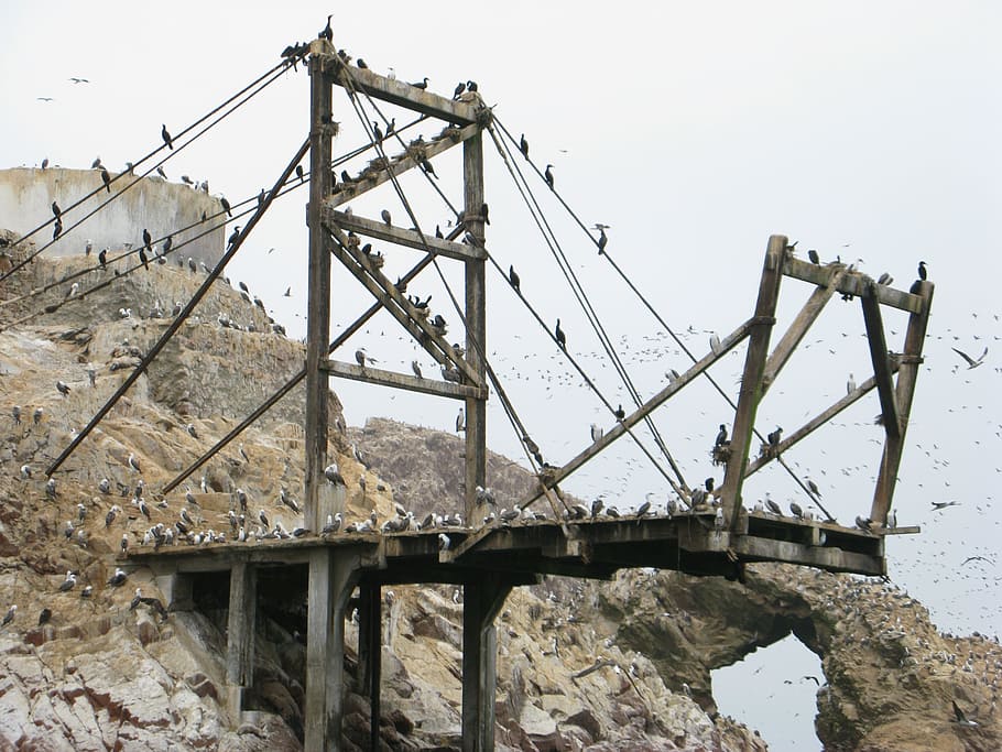 バレスタス諸島、 ピスコ、 ペルー、 パラカス、 人なし、 日、 屋外、 建築、 桁、 空