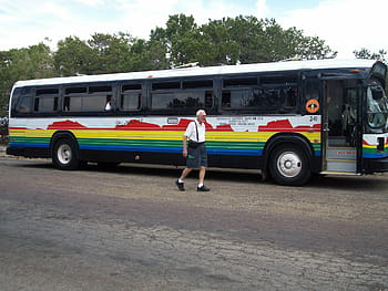 veicolo, bus turistico, autobus, trasporto, auto, autobus, trasporto, mezzi di trasporto, giro, passeggeri, pubblico, viaggio