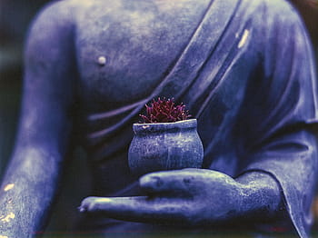 untitled, buddha, plant, religion, buddhism, buddhist, prayer, religious, stone, spiritual, meditation