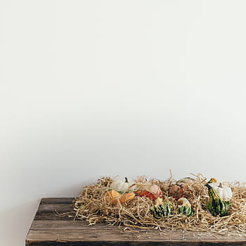 squash, puinen, pöytä, valikoituja, décors, kurpitsat, halloween-kasvis, kasvillisuus, kuiva ruoho, studio ammuttu, sisällä