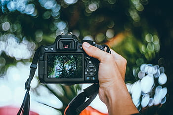 เลือก, มุ่งเน้นการถ่ายภาพ, คน, โฮลดิ้ง, กล้อง DSLR, กล้อง, สีดำ, การถ่ายภาพ, เบลอ, โบเก้, ธรรมชาติ