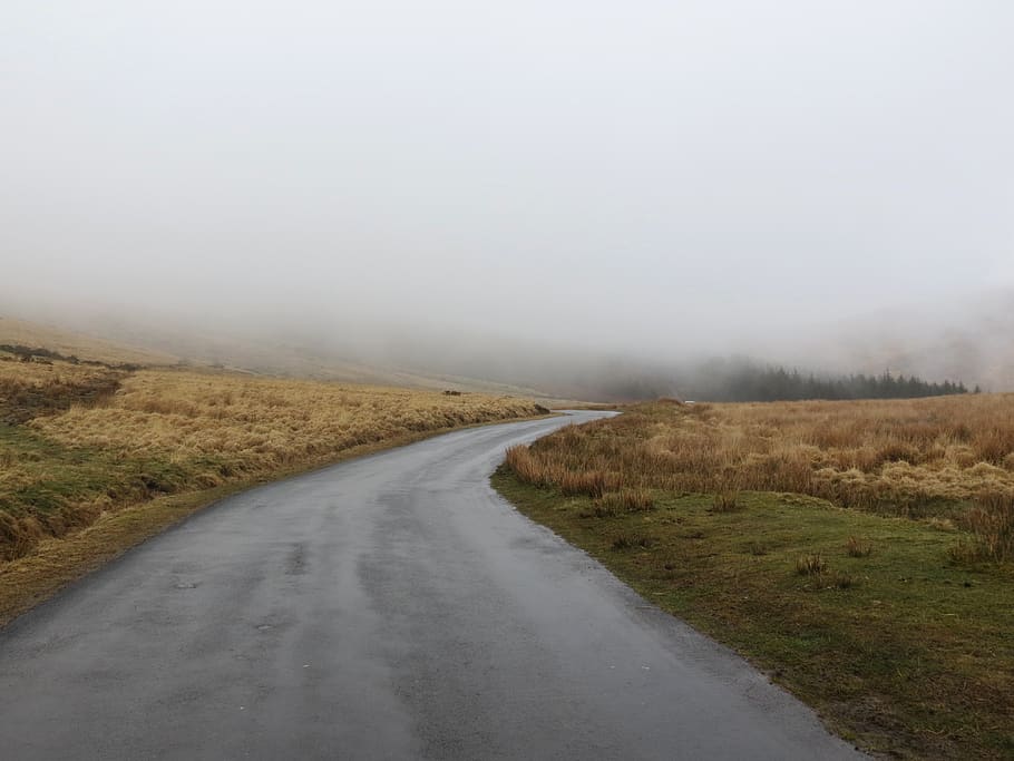 foggy, roadway, wet, fog, drive, misty, curve, countryside, country