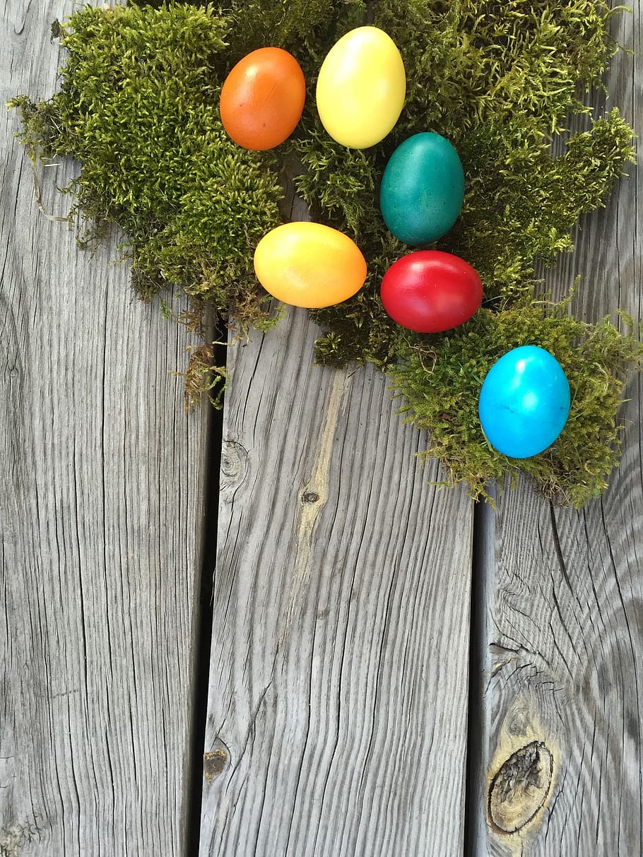 woods, wood, background, easter, easter eggs, happy easter, egg