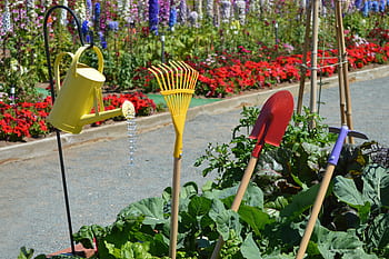 garden, garden tools, watering can, rake, shovel, hoe, tools, spade, summer, gardening, garden art