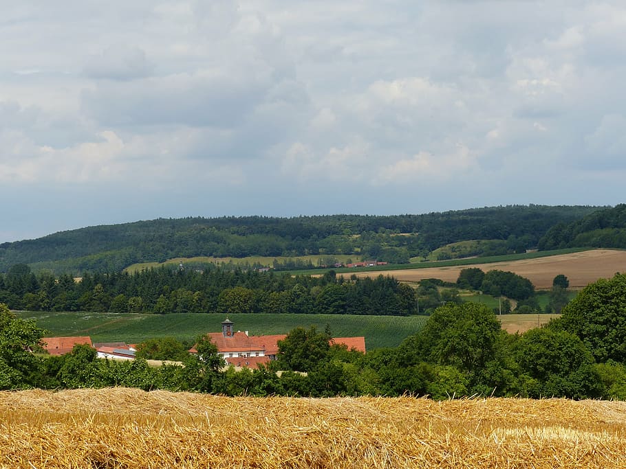 letní, nenávist hory, horní franconia, les