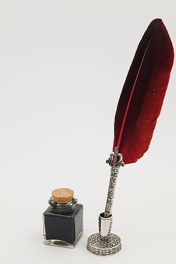 gray, red, fountain pen, feather, ink bottle, leave, communicate, communication, pen, writing implement, ink