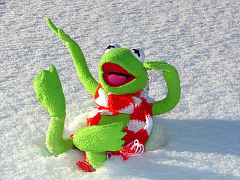 kermit, žába, ležící, sníh, kermit žábu, zábava, zimní, Studený, zelená barva, nikdo, hračka