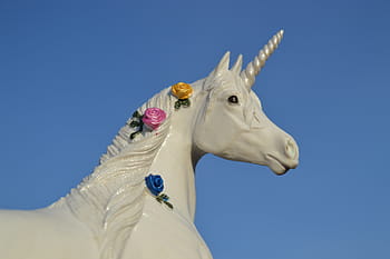 gray, unicorn statue, daytime, unicorn, horse, animal, creature, horn, equine, fantasy, white
