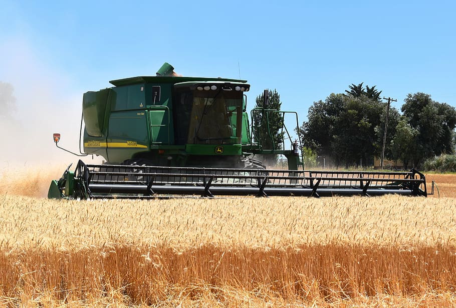 green, black, tractor, hays, harvest, wheat, cereal, threshing, combine harvester, agriculture, outdoors