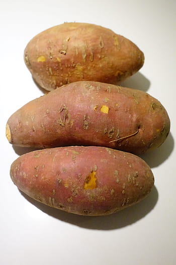 yam, ipomoea batatas, sweet-potato, white potato tuber winds, crop, wind greenhouse, convolvulaceae, food