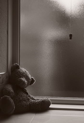 brown, plush, lean, wall, window, Abandoned, Cold, Bear, Toy, teddy, alone