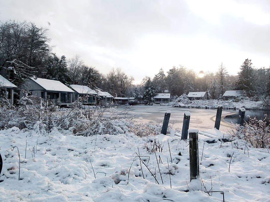 snow, bog, swamp, tannersville bog, birchwood resort, marsh, wetland, wetlands, water, abandoned