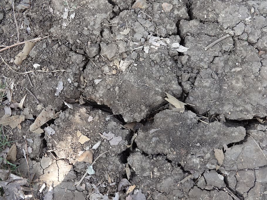 Black Soil, Dry, Dried, Cracks, Summer, soil, black cotton, chernozem, tropical, clayey, dharwad