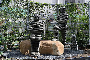 wijnstokken, gras, rotsen, marmeren, mal, klei, ouderwets, gevormd, hek, moderne kunst, kunstenaarstalent
