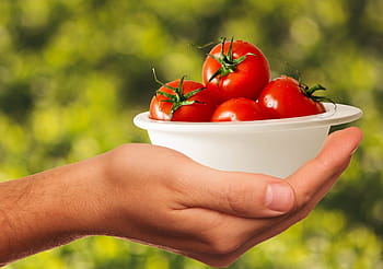 bowl of tomatoes, tomatoes, vegetables, healthy, food, delicious, red, vitamins, eat, human body part, human hand