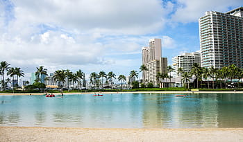 lidé, jezdectví, loď, tělo, voda, waikiki beach, hawaii, oahu, honolulu, hawaii beach, cestovat