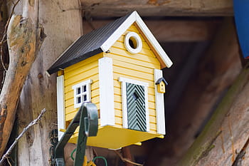 Home, Aviary, Vacation, Bird Feeder, nesting box, yellow, decoration, house, wood - Material, nature, outdoors