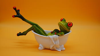 frog, figure, cute, funny, frogs, bath