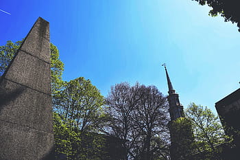 fotografování s nízkým úhlem, beton, věž, hnědý, kaple, obklopen, stromy, během dne, rostlina, Příroda, modrý
