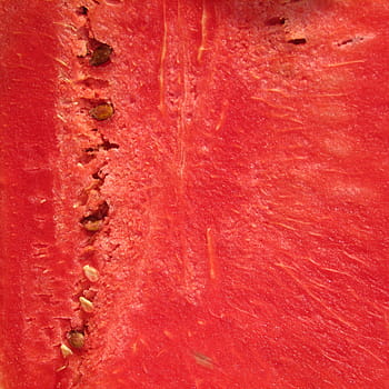 melon fruit, Watermelon, Melon, Citrullus Lanatus, red, fruit, summer, juicy, seeds, india, full frame