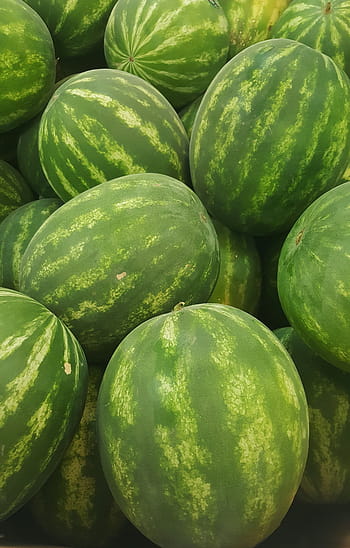 watermelon, melon, seedless, food, summer, fruit, eat, green, refreshing, grocery, market