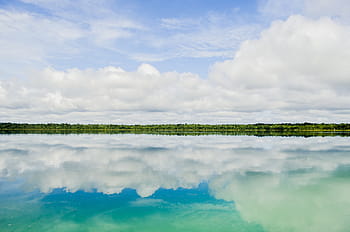 green, trees, body, water, reflection, white, cloud, blue, sky, daytime, horizon