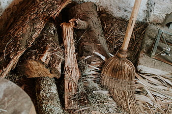 Brun, gyvel, ved siden af, log, bagagerum, gammel, tør, hugge, stål, træ, træ-