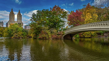 New York, centrální park, Manhattan, nyc, městský, město, Příroda, stromy, usa, park, Amerika